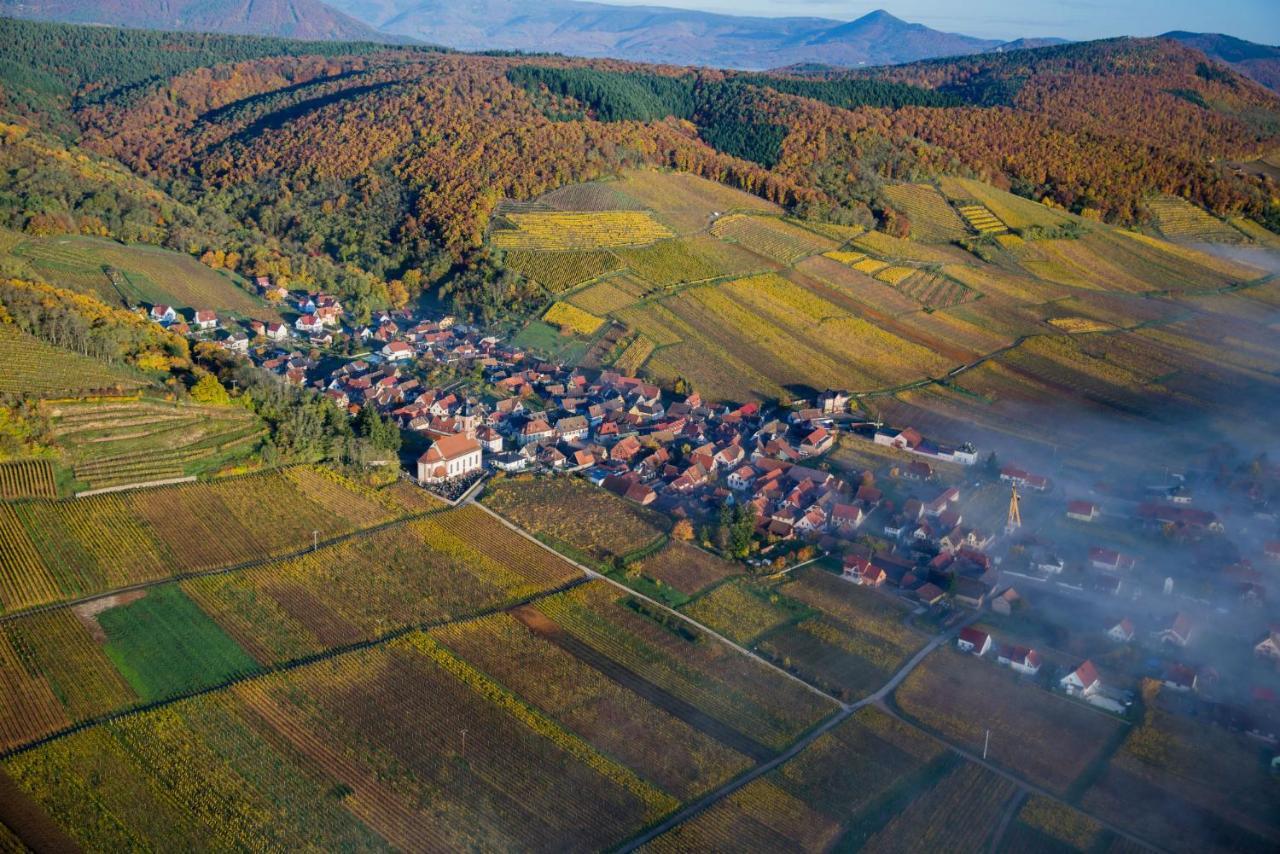 Maison De Ville Selestat Centre Ngoại thất bức ảnh